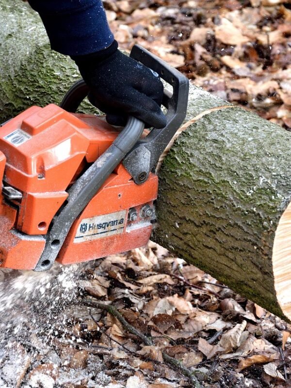 cutting wood, lumberjack, chainsaw, woodwork, tree trunks, lumber, lumberjack, chainsaw, chainsaw, chainsaw, chainsaw, chainsaw