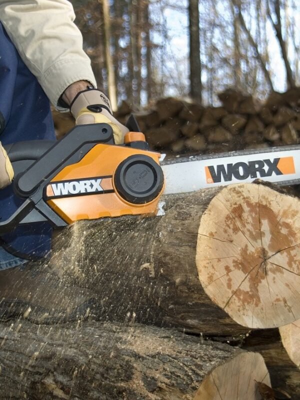 chainsaw, wood, nature, tree