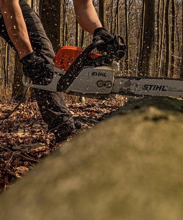 chainsaw, tree, forest, nature, chainsaw, chainsaw, chainsaw, chainsaw, chainsaw